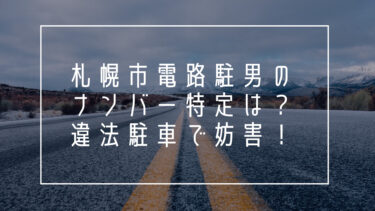 札幌市電路駐男のナンバー特定は？違法駐車で妨害！
